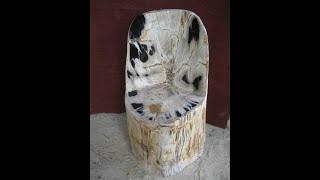 Petrified Wood Furniture To Treasure