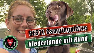 Camping mit Hund - DIE BESTEN Campingplätze in den Niederlanden mit Hund - Camping mit Herz