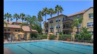 Best Apartments in Irvine, CA | Solana Apartment Homes