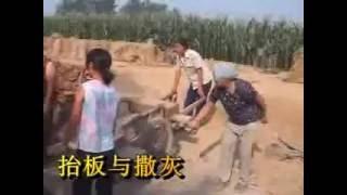 small auto clay brick machine