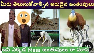 Telugu Top Trending Facts | Jabardasth Telugu Facts | Interesting and amazing  facts in Telugu Badi