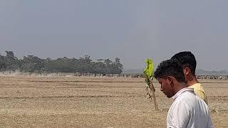 sylhet big horse race..(sm sanuwar)...