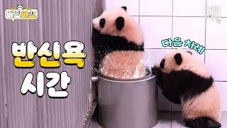 Panda World Bath Grand Opening | #BaoBao EP.15 Every day is filled with happiness | Everland