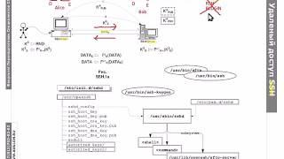 SSH: Протокол удаленного защищенного доступа