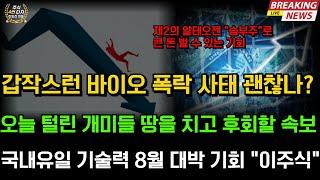 [바이오섹터]오늘 오후부터 갑작스런 바이오 폭락사태 오히려 기회인 이유 국내유일 기술력 제2의 알테오젠이 될 승부주 모르면 크게 후회합니다 에이비엘바이오 유한양행 셀트리온 HLB