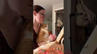 Cats are part of my life #foryou #fyp #cat #cats #catlovers #love