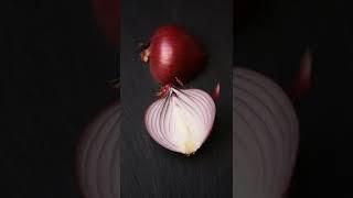 Onion ||Allium cepa||प्याज