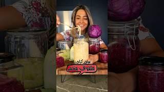 ملفوف مخمر! بكتيريا نافعة و كتير مفيد Lacto Fermented Sauerkraut