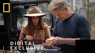 Wallaby Cooking in Tasmania | Gordon Ramsay: Uncharted S2 | National Geographic UK