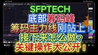 SFPTECH 底部筹码峰+筹码主力线刚站上！接下来怎么做？关键操作大公开！SFP TECH. 高手的进场时机原来藏这一步！高级技巧！[中文字幕］