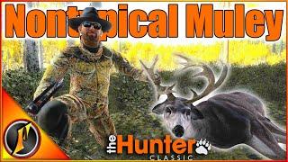 First NONTYPICAL BUCK of 2025! Timbergold Trails Hunt | theHunter Classic