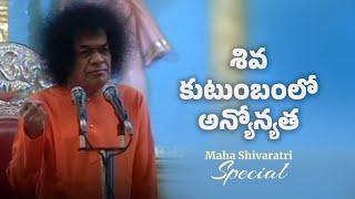 శివ కుటుంబంలో అన్యోన్యత | Speciality of Shiva's Family | Divine Discourse - March 2nd, 2003