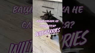 Обзор находка для собак с Wildberries. Артикул 220969172 #вб #распаковка #находки #wb #собака