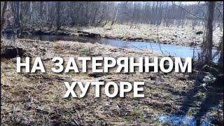 УДАЧНЫЙ КОП НА ЗАБЫТОМ ХУТОРЕ !!! ПОИСК МЕТАЛЛОДЕТЕКТОРОМ.