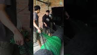 Mesh Weaving Technology