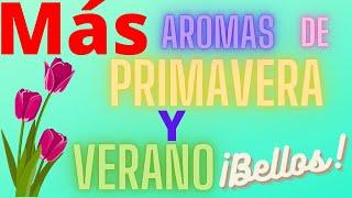 AROMAS PRIMAVERALES y ESTIVALES Tucs de Mariami #3