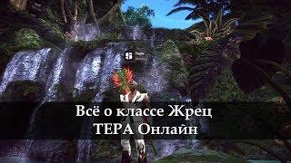 Гайд по Жрецу ТЕРА онлайн TERA Online 2017