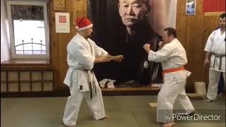 Budo akademy 31 / Sensei Rybin Evgeny Uechi ryu kаратэ / tameshiwari boshiken dzuki