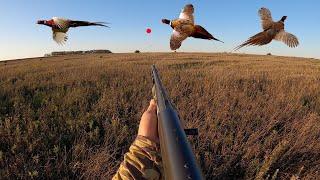 Pheasant Hunting Opening Day in South Dakota! (CATCH CLEAN COOK)