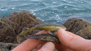 Lure Fishing for Cod & Pollack with Soft Plastics in Winter | Lure Fishing UK