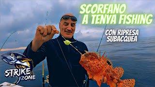 Tenya fishing, scorfano con ripresa subacquea