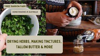 Rainy Day on the Homestead; Herbal Tinctures, Tallow Body Butter, Drying Herbs: Victoria, Australia