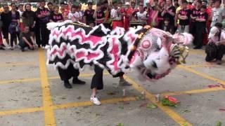 香港獅賀八鄉橫台山村代表就職典禮暨敬老聯歡2015