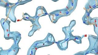 Alzheimer-Forschung: 3D-Struktur der Amyloid-Fibrille