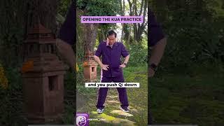 Opening the Kua by Master Mantak Chia. Qigong fundamentals for health, longevity and vitality️