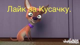 кусачка  реально жалко 