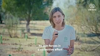 European Tree Planting Day: what is it and how to join? 