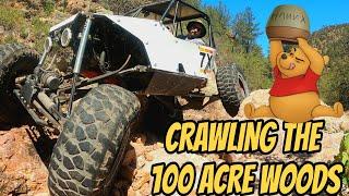 ROCK CRAWLING ARIZONA PINES