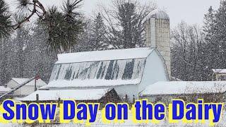 Snowy Afternoon On Our Small Family Dairy Farm