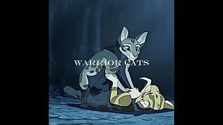 Warrior Cats #warriorsspirit #warriorcats #edit #cats