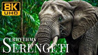 Serengeti Rhythms 8K UHD  Roaming Beasts With Peaceful Tunes