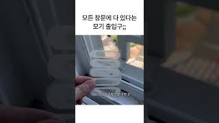 집에 모기가 들어오는 이유;; #띵품상점