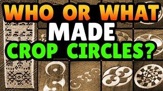 What Do Crop Circles Tell Us - Who Or What Made Them?