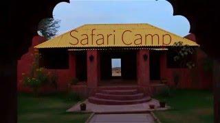 Safari Camp, Osian