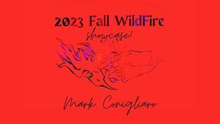 Mark Conigliaro’s Contact Juggling - 2023 Fall WildFire Retreat Showcase