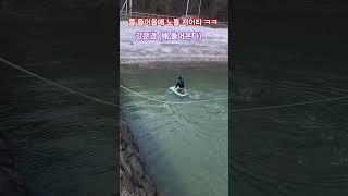 #강문경 #배들어온다 #현역가왕2 #조각배 (물 들어오니 큰배가 들어온다 ㅎㅎ)