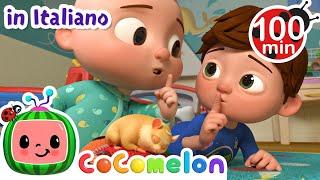 Shh! Il criceto sta dormendo | CoComelon | Moonbug Kids - Cartoni Animati