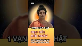 Lời Phật Dạy Về Niềm Kiên Trì: Hành Trình Tìm Kiếm Bản Thân Mỗi Ngày #loiphatday