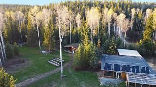 Off Grid Wilderness Homestead Pays BIG DIVIDENDS