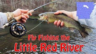 TROUT fishing on the LITTLE RED RIVER | Arkansas Fly Fishing