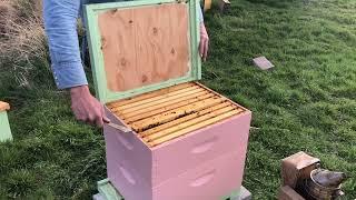 Everything You need to Know About Using a Hive Tool, Compilation