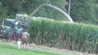 auf der Jagd nach Mais der Claas Jaguar 980 und Claas Orbis 750 für eine ganz große Biogas Anlage