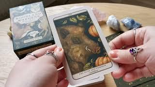 Woodland Wardens Oracle Deck - Oracle review