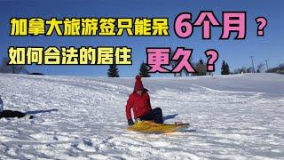 加拿大旅游签证只能呆6个月？如何合法的待更久？