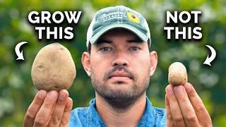 Watch This BEFORE You Plant Potatoes 