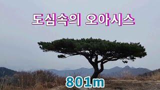 도심속의 801.1m 오아시스//승용차로 편하게 다녀오세요//오지산골 임도여행!!